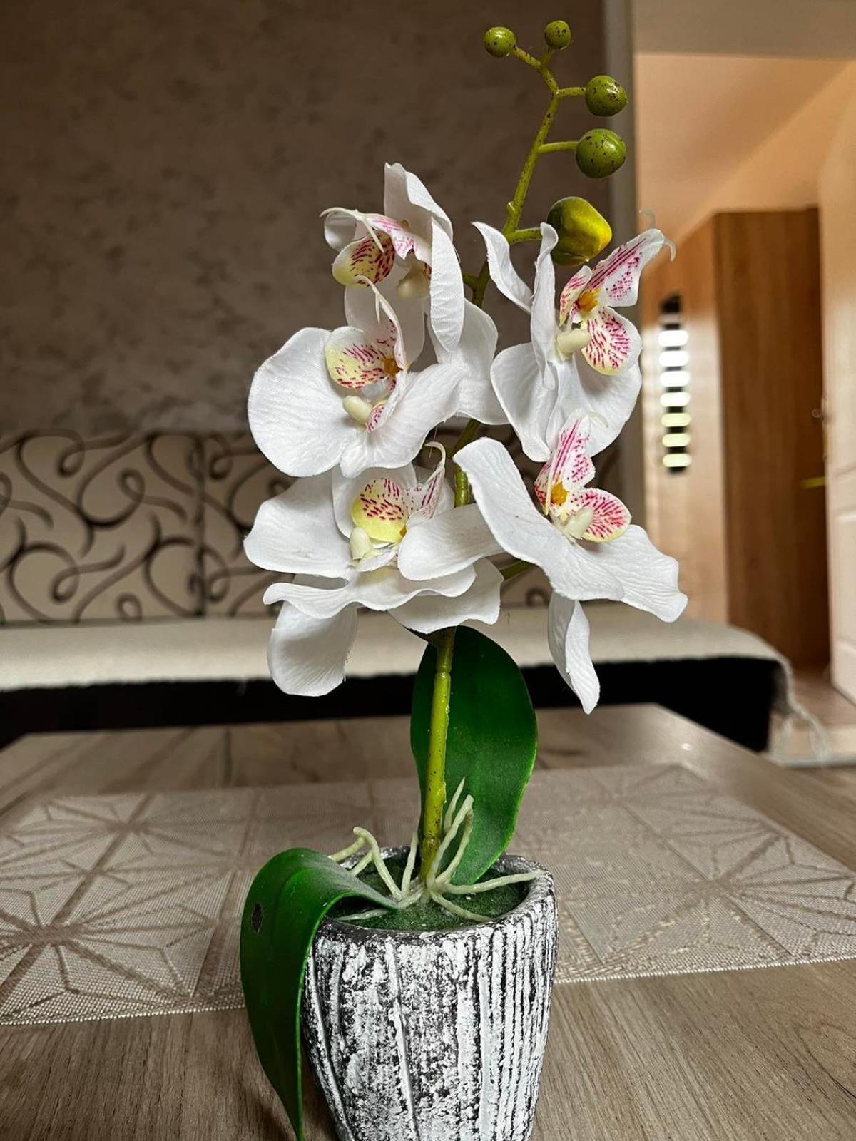 Apartmani Nikolic Višegrad Pokoj fotografie
