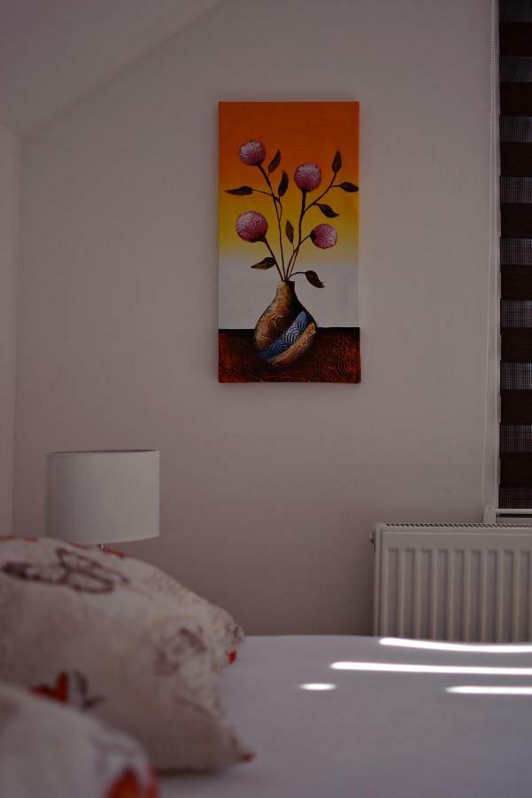 Apartmani Nikolic Višegrad Exteriér fotografie